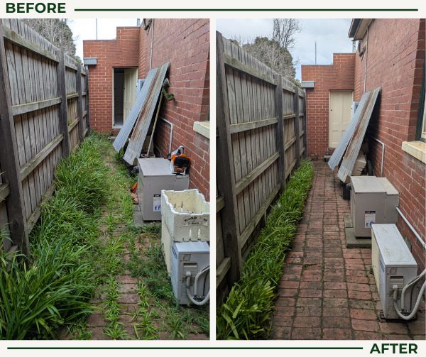 Before and after garden clean up: an overgrown side passage cleared and swept