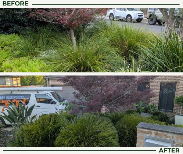 Before and after garden clean up: front garden beds tidied and reshaped