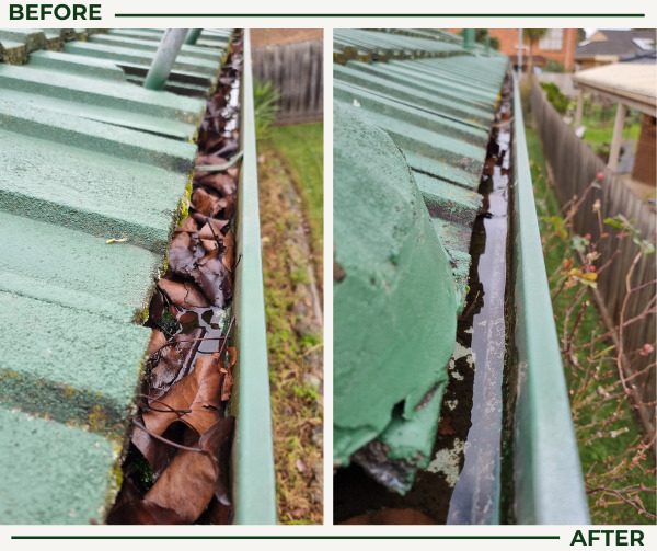 Before and after gutter cleaning: packed leaves cleared from a roof gutter