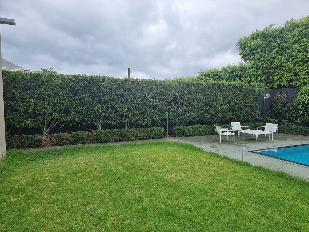 A tall boundary hedge trimmed to a straight, even line beside a Brighton pool and lawn