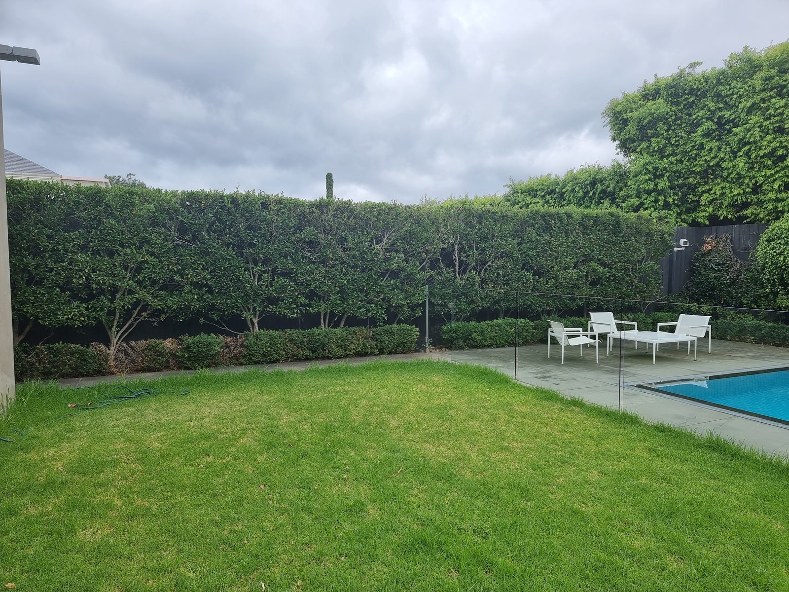 A tall boundary hedge trimmed to a straight, even line beside a Brighton pool and lawn
