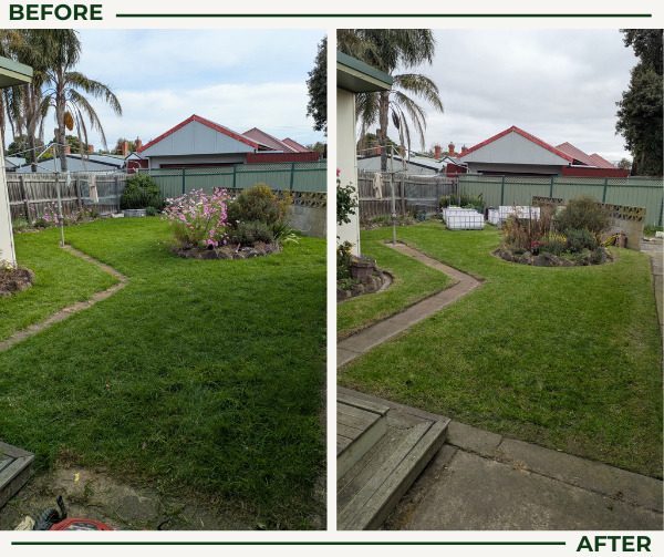 Before and after lawn mowing: a shaggy front lawn trimmed and edged
