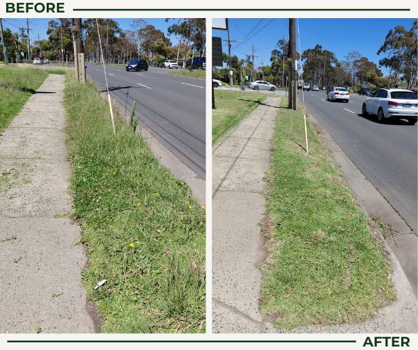 Before and after lawn mowing: an overgrown nature strip mown and edged